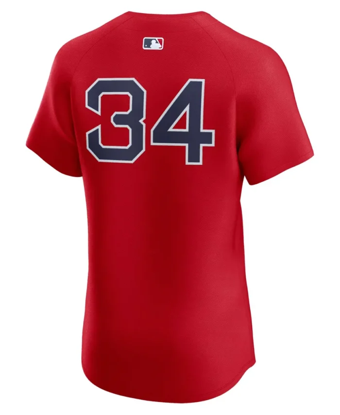 David Ortiz Boston Red Sox Alternate Elite Player Jersey - Red